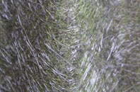 Marshalsea fibreglass roof work