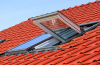 Marshalsea roof window